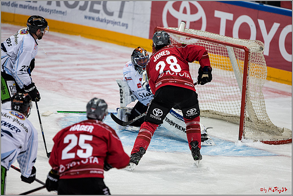 Koelner Haie - Straubing Tigers, 03.10.2016